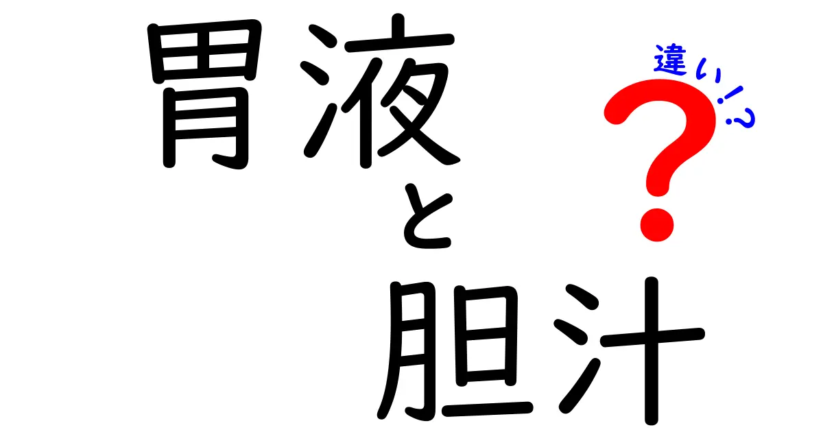 胃液と胆汁の違いをわかりやすく解説!成分・場所・役割・食べ物との関係