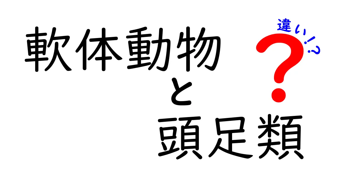 軟体動物と頭足類の違いを徹底解説｜中学生にも分かる図解つきのやさしい解説
