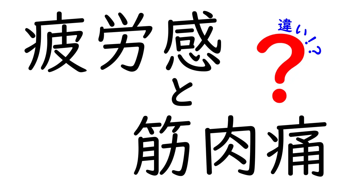 疲労感と筋肉痛の違いを徹底解説 何が原因でどう対処するべきかを中学生にもわかる言葉で