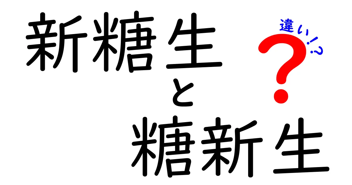 新糖生と糖新生の違いを徹底解説!中学生にもわかるポイントと混乱の原因