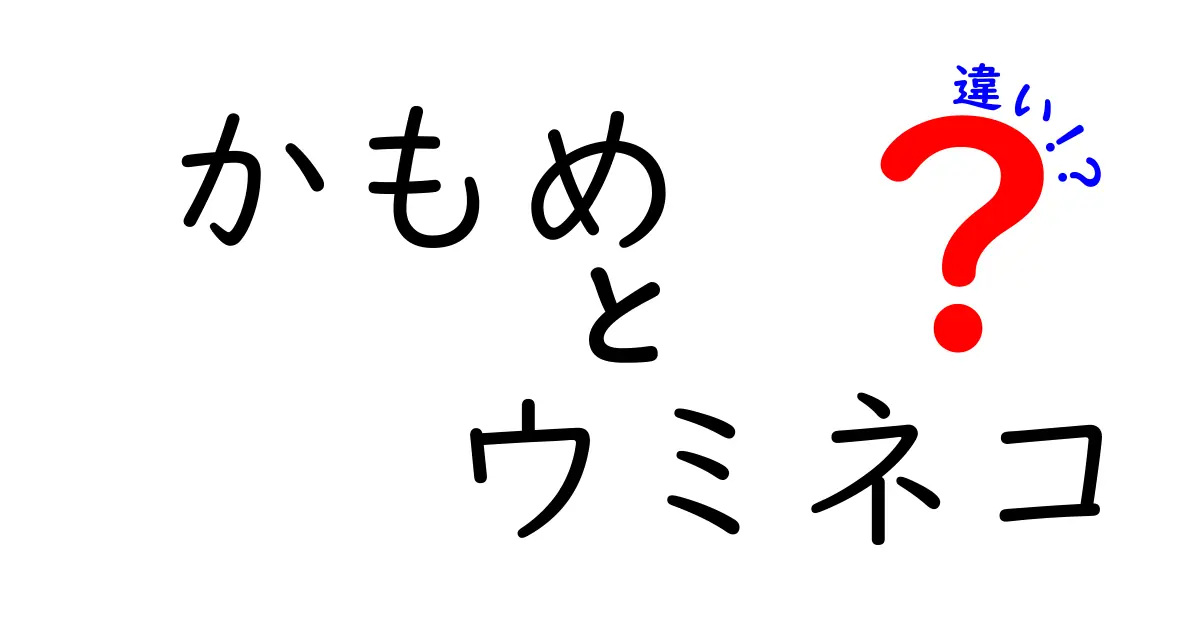 かもめとウミネコの違いを徹底解説！見分け方と生態・鳴き声の秘密