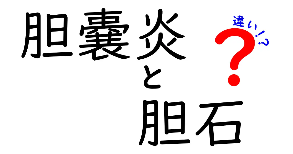 胆嚢炎と胆石の違いを徹底解説:症状・原因・治療を分かりやすく比較