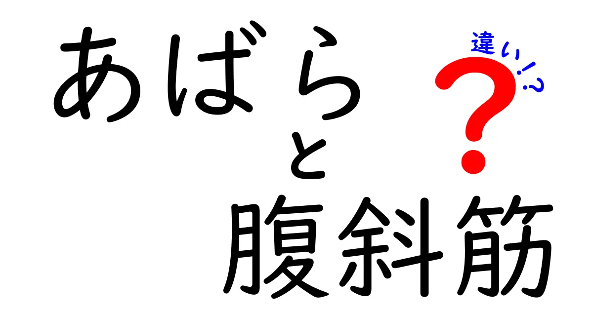 あばらと腹斜筋の違いをわかりやすく解説！中学生でも理解できる肋骨と腹部の筋肉の役割