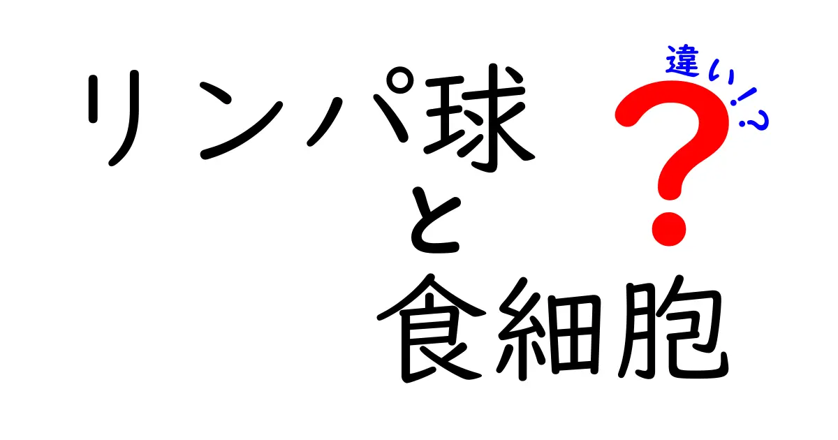 リンパ球と食細胞の違いをわかりやすく解説 免疫のしくみを楽しく理解しよう