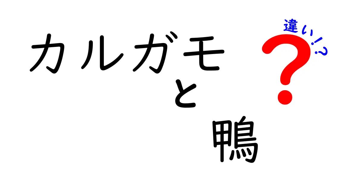 カルガモと鴨の違いをわかりやすく解説!見分け方・生態・役割を一度に理解するガイド