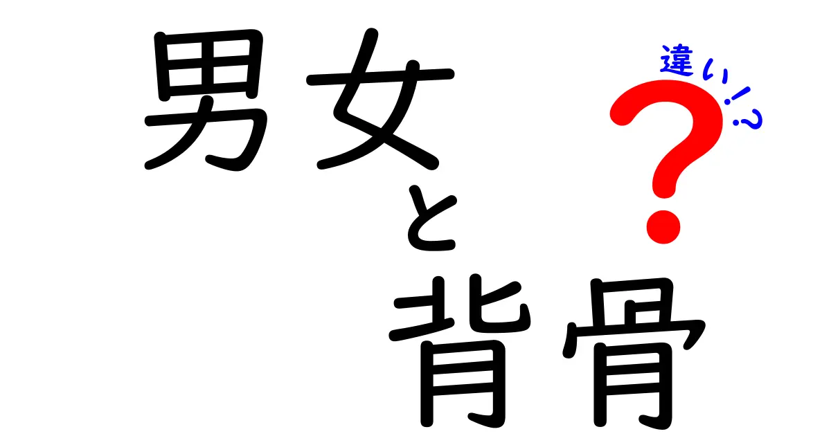 男女でこんなに違う？背骨の構造と性別による影響を徹底解説