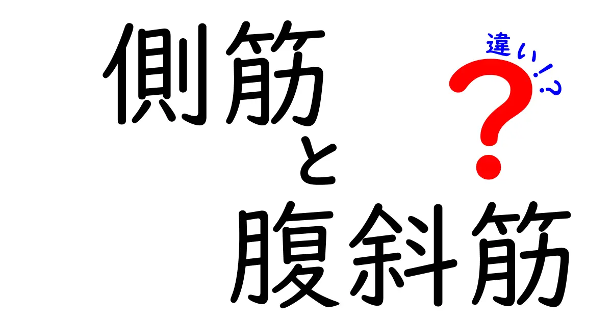側筋と腹斜筋の違いを徹底解説!体幹の筋肉を正しく使い分けるコツ