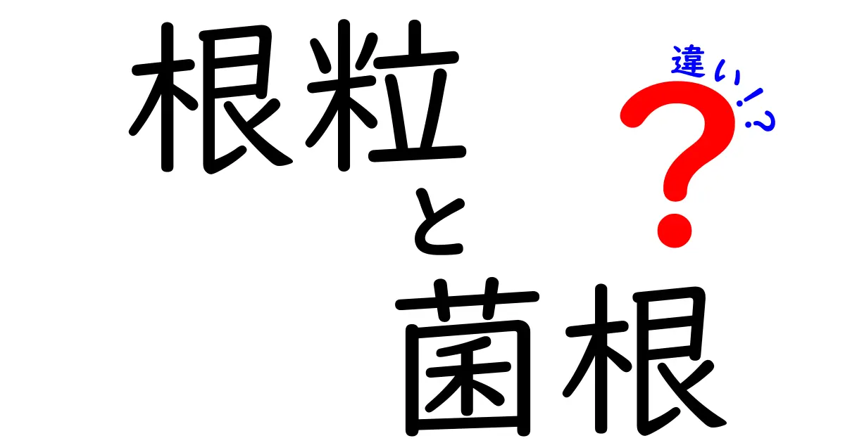 根粒と菌根の違いを徹底解説|土づくりの秘密を中学生にもわかる図解付き
