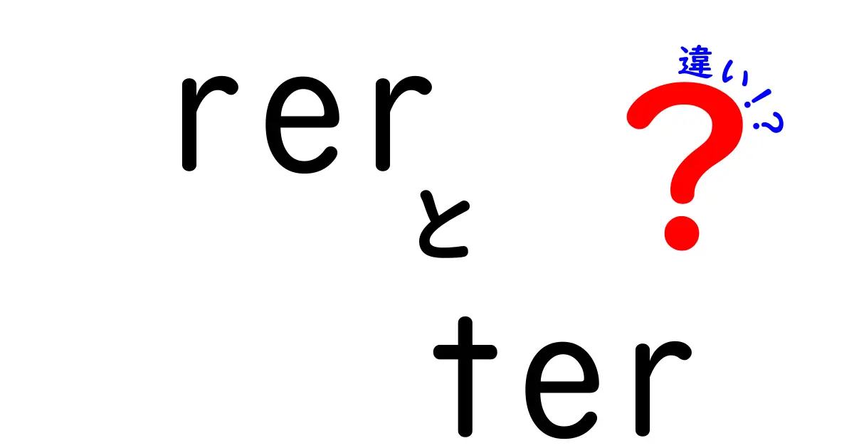 rer　ter　違いを完全攻略：意味・使い方・混同ポイントをわかりやすく解説