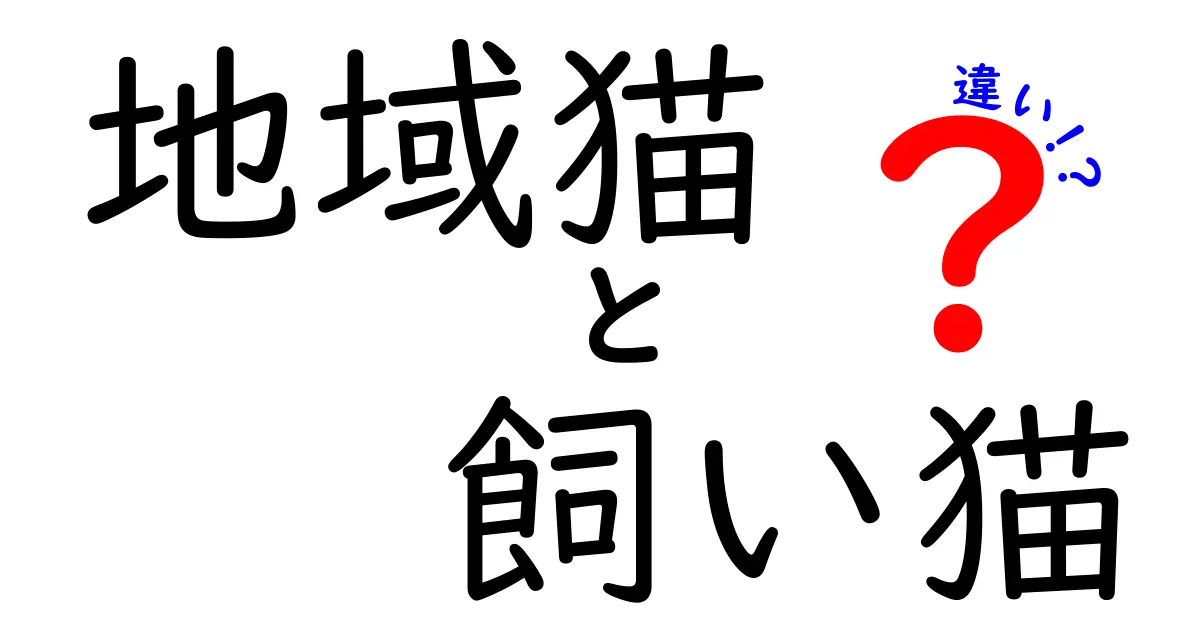 地域猫と飼い猫の違いを徹底解説!中学生にも伝わるわかりやすさでポイント整理