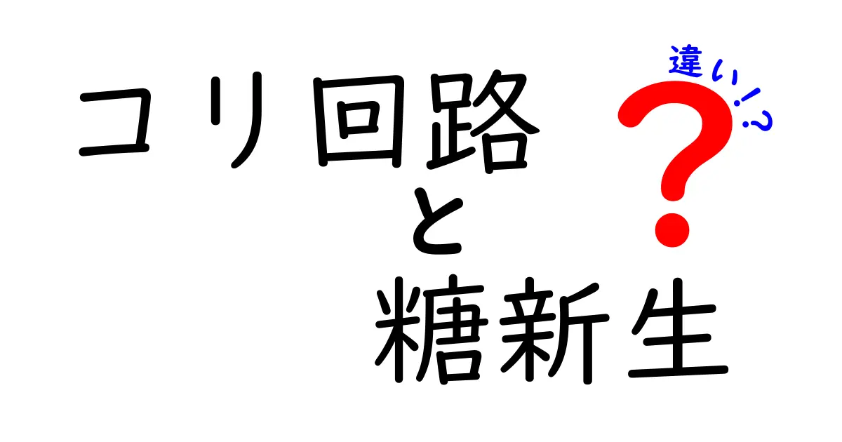 コリ回路と糖新生の違いを完全解説!筋肉と肝臓が作るエネルギーの秘密を中学生にもわかる図解つき