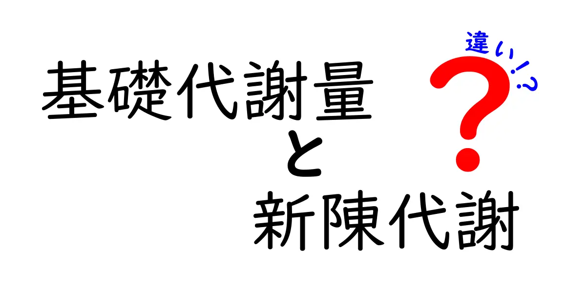 基礎代謝量と新陳代謝の違いを知れば毎日のダイエットが変わる!中学生にもわかるやさしい解説