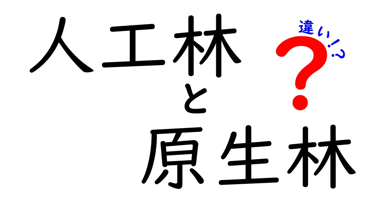 人工林と原生林の違いを徹底解説:森の本当の姿を学ぶ中学生向けガイド