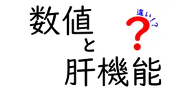 数値でわかる肝機能の違いを徹底解説｜ALT・AST・ALPの意味と正しい読み方