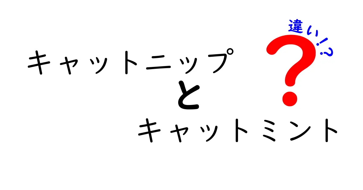 キャットニップとキャットミントの違いをわかりやすく解説!猫が喜ぶ秘密と選び方