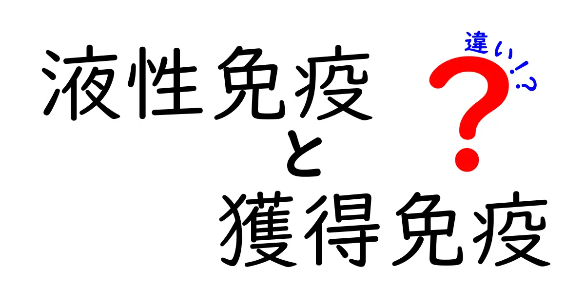 液性免疫と獲得免疫の違いを徹底解説!中学生にもわかる図解つき