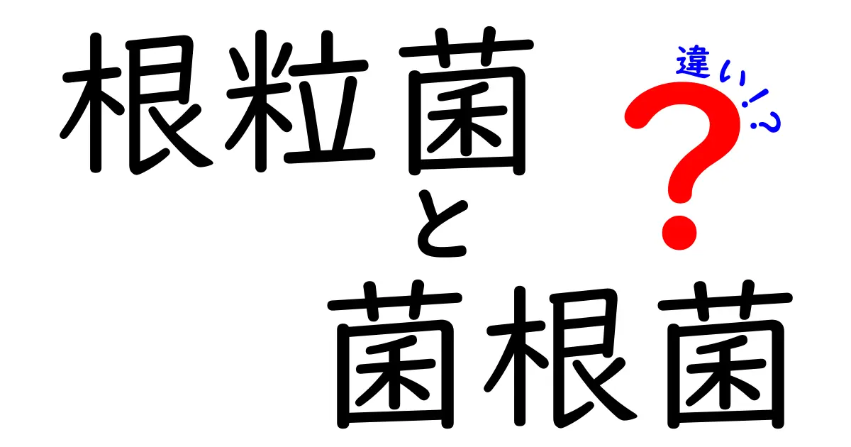 根粒菌と菌根菌の違いを徹底解説!中学生にもわかるポイントと身近な例