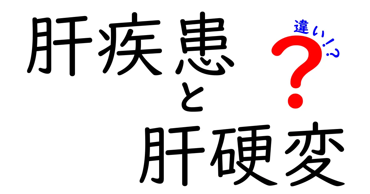 肝疾患と肝硬変の違いを徹底解説!初心者にも分かる見分け方と予防のコツ