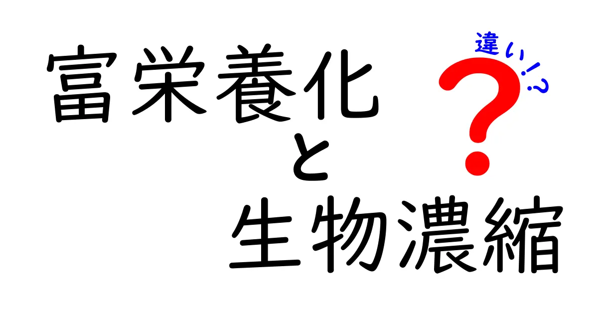 富栄養化と生物濃縮の違いをわかりやすく解説!身近な例と安全への影響まで徹底比較