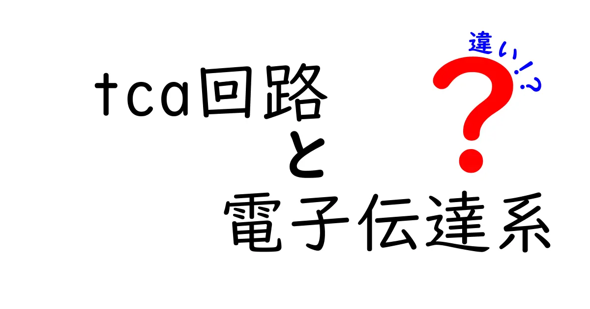 TCA回路と電子伝達系の違いを徹底解説: 体内のエネルギー作りのキホンを押さえよう
