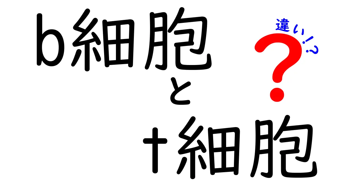 B細胞とT細胞の違いを徹底解説|b細胞とt細胞の違いを理解して免疫の仕組みをつかもう