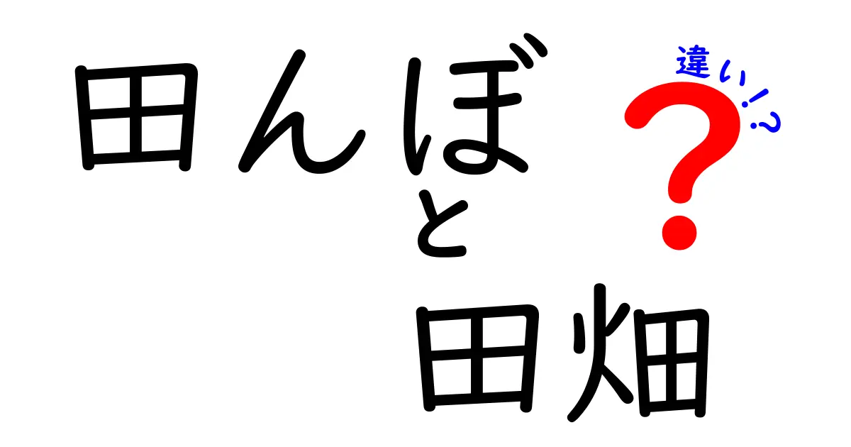 田んぼと田畑の違いを徹底解説!中学生にもわかる農地の基礎