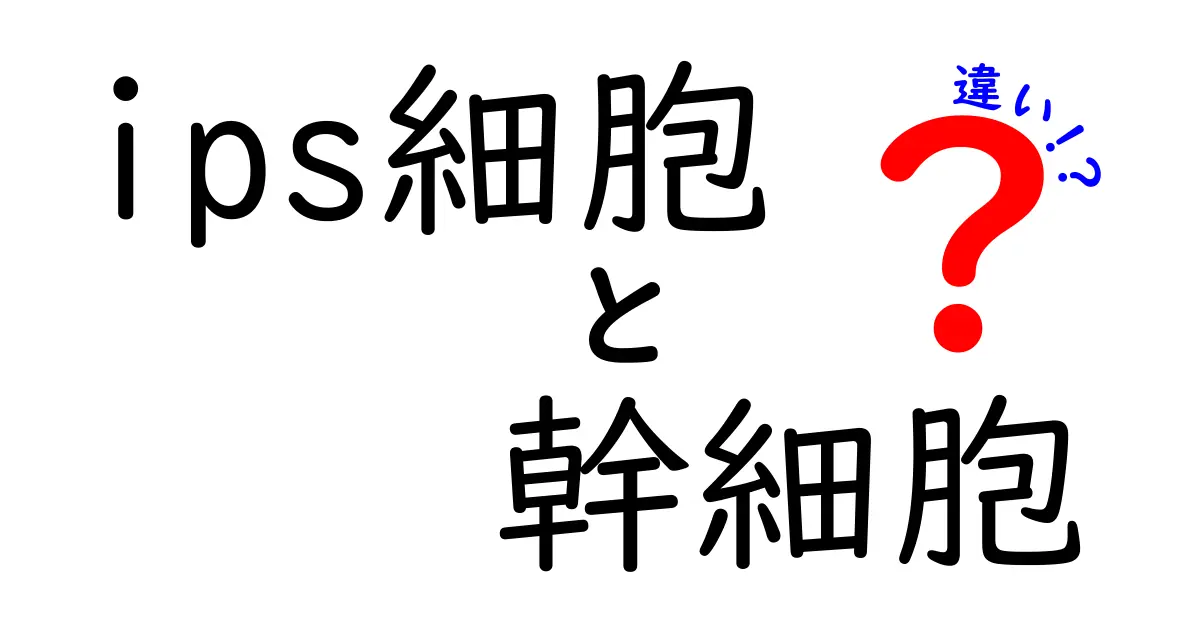 ips細胞と幹細胞の違いを徹底解説!中学生でも分かる基礎と最新の応用