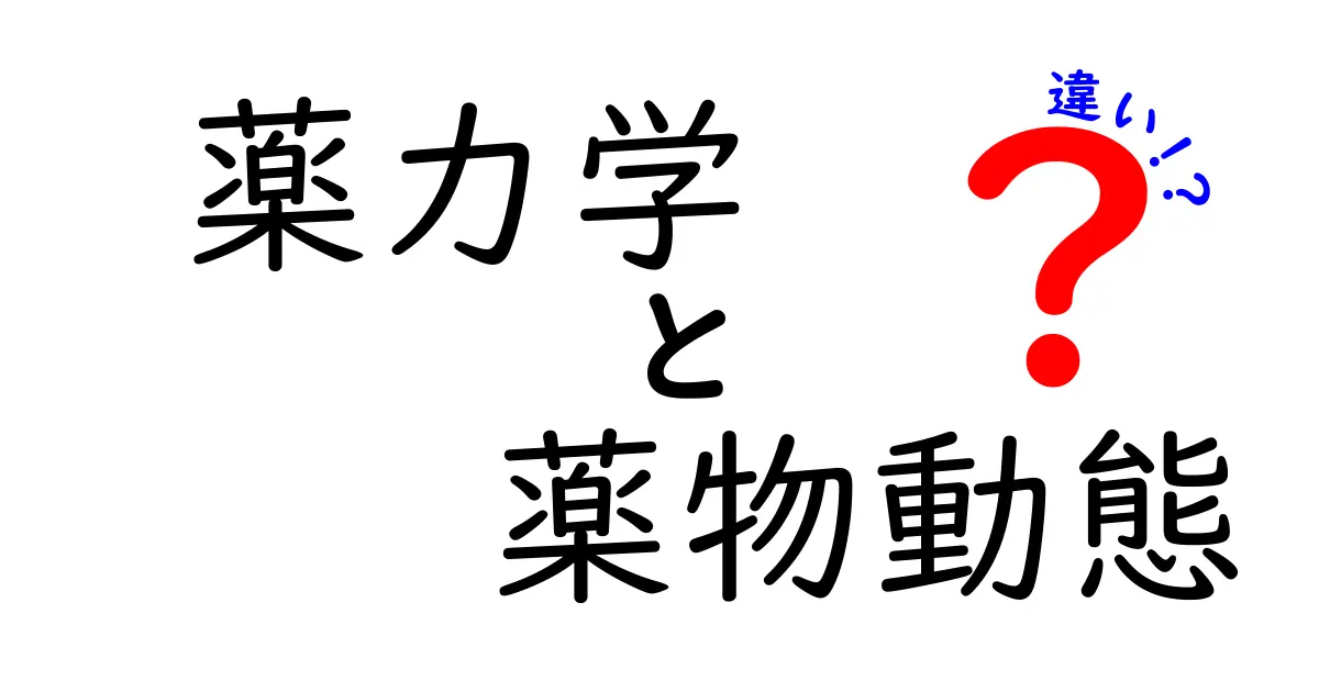 薬力学と薬物動態の違いを徹底解説!中学生にもわかるポイントと実例
