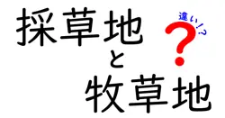 採草地と牧草地の違いを徹底解説!使い分けのコツと現場で役立つポイント