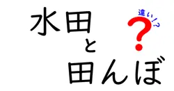 水田と田んぼの違いをわかりやすく徹底解説!意味・使い方・歴史まで中学生にも理解できるガイド