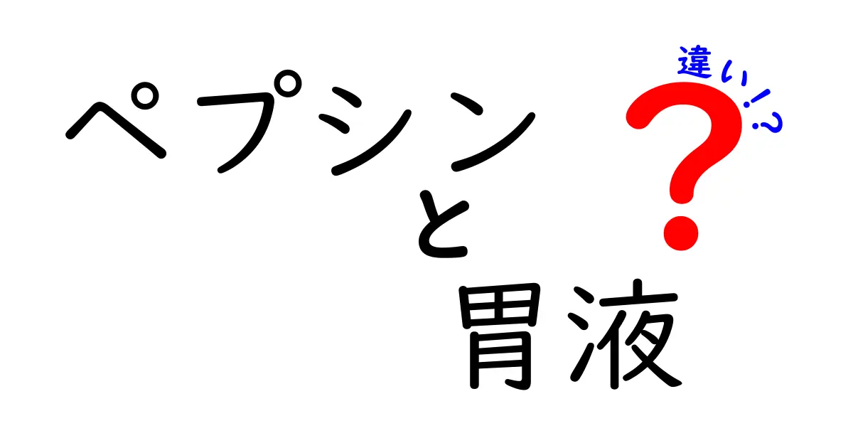 ペプシンと胃液の違いを知れば胃のしくみが分かる!中学生にもわかるやさしい解説