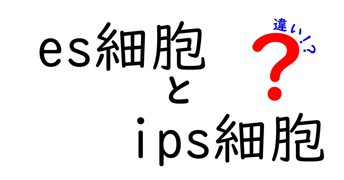 ES細胞とiPS細胞の違いを徹底解説!中学生にもわかるやさしい基礎講座