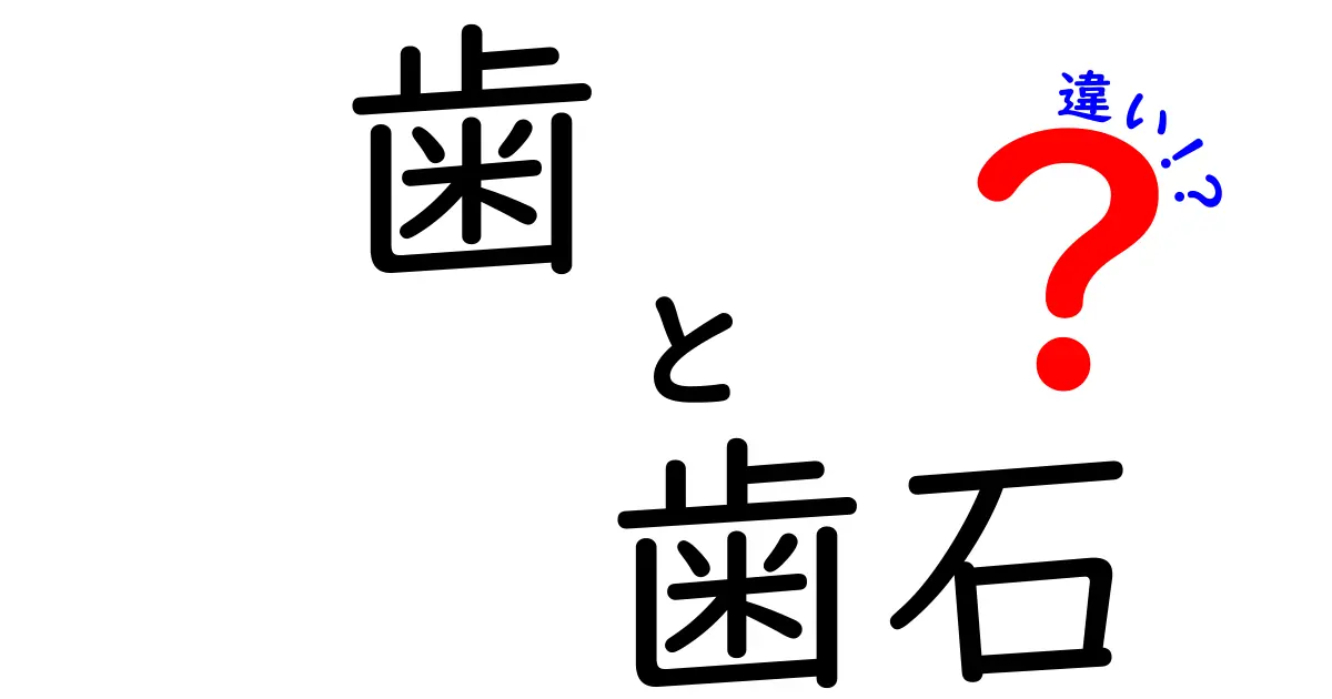 歯と歯石の違いを徹底解説:あなたの口の健康を守る基礎知識