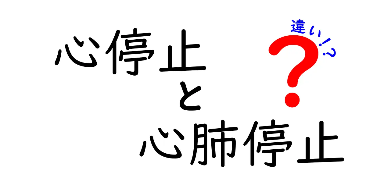 心停止と心肺停止の違いとは?いざというときに役立つ基礎知識と緊急対応をやさしく解説