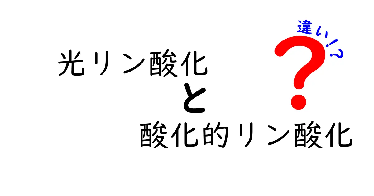 光リン酸化と酸化的リン酸化の違いを徹底解説!中学生にもわかる図解つきガイド