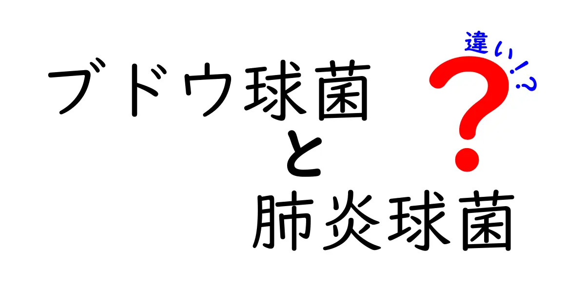 ブドウ球菌と肺炎球菌の違いを徹底解説！感染経路・症状・治療・予防をわかりやすく