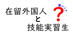 在留外国人と技能実習生の違いを徹底解説|制度のしくみと実情を中学生にもわかる言葉で