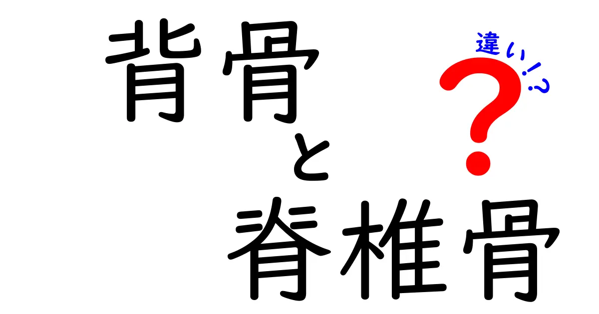 背骨と脊椎骨の違いを徹底解説！中学生にも分かる図解付きガイド
