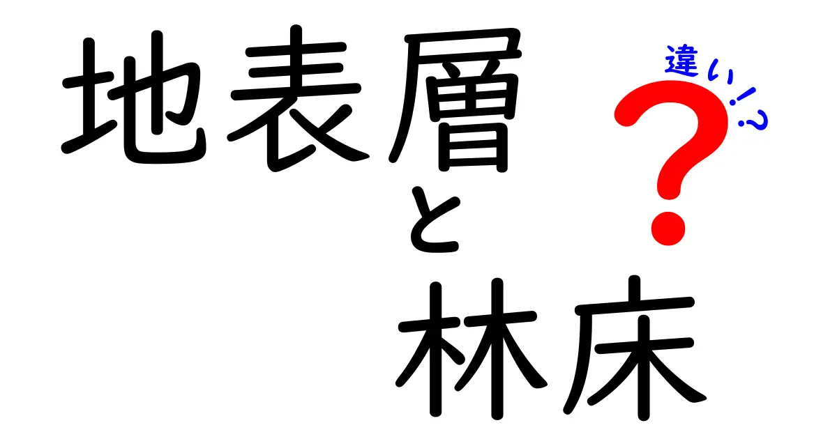 地表層と林床の違いを徹底解説！自然の階層が生む生態の謎をやさしく解き明かす