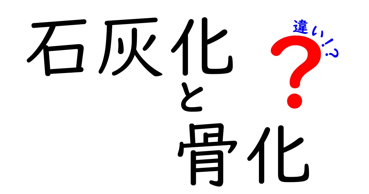 石灰化と骨化の違いを徹底解説!中学生にもわかるやさしい解説で理解を深めよう