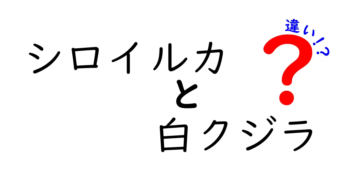 シロイルカと白クジラの違いを徹底解説!知っておきたい3つのポイント