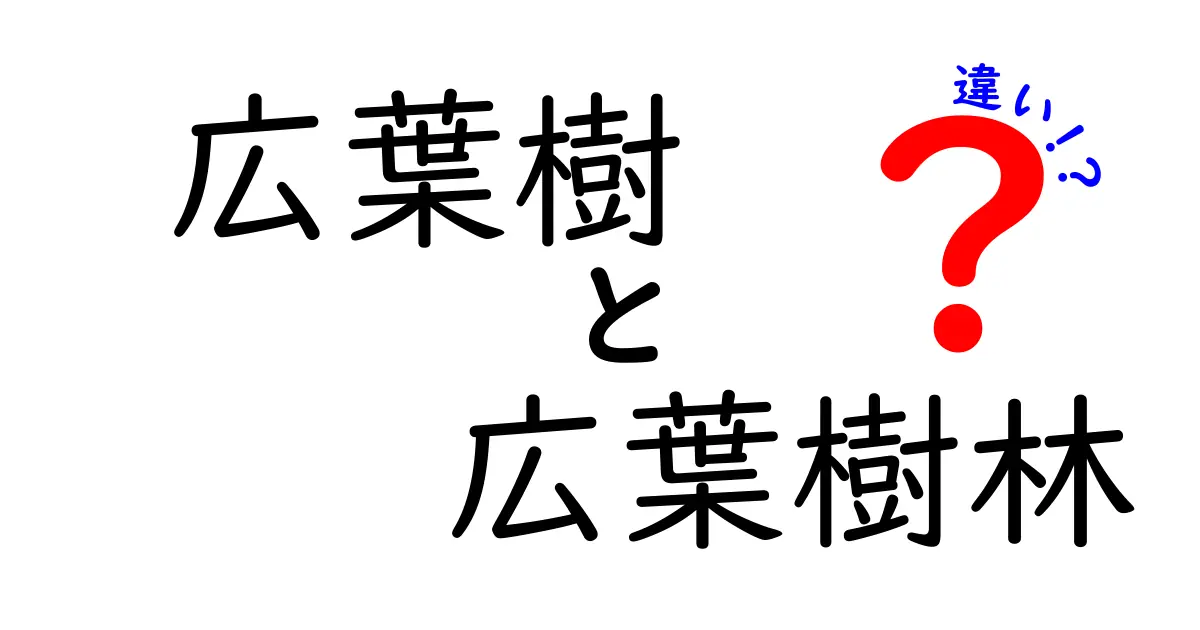 広葉樹と広葉樹林の違いを徹底解説!見分け方と自然の秘密