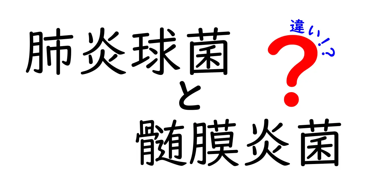 肺炎球菌と髄膜炎菌の違いをわかりやすく解説！中学生にも伝わる見分け方と予防のコツ