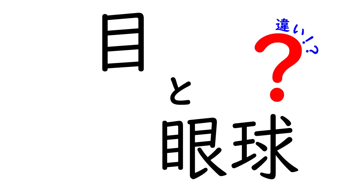 目と眼球の違いを徹底解説!日常と医学の境界をわかりやすく説明