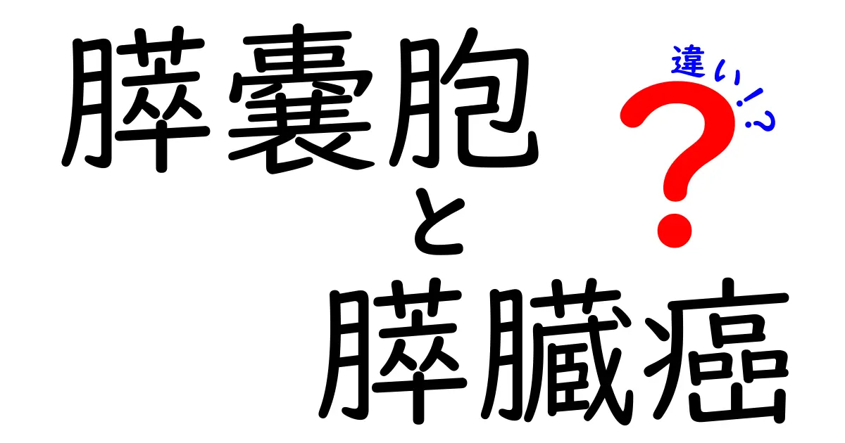 膵嚢胞と膵臓癌の違いを徹底解説!見分け方・診断のポイントを中学生にも分かるやさしい言葉で解説