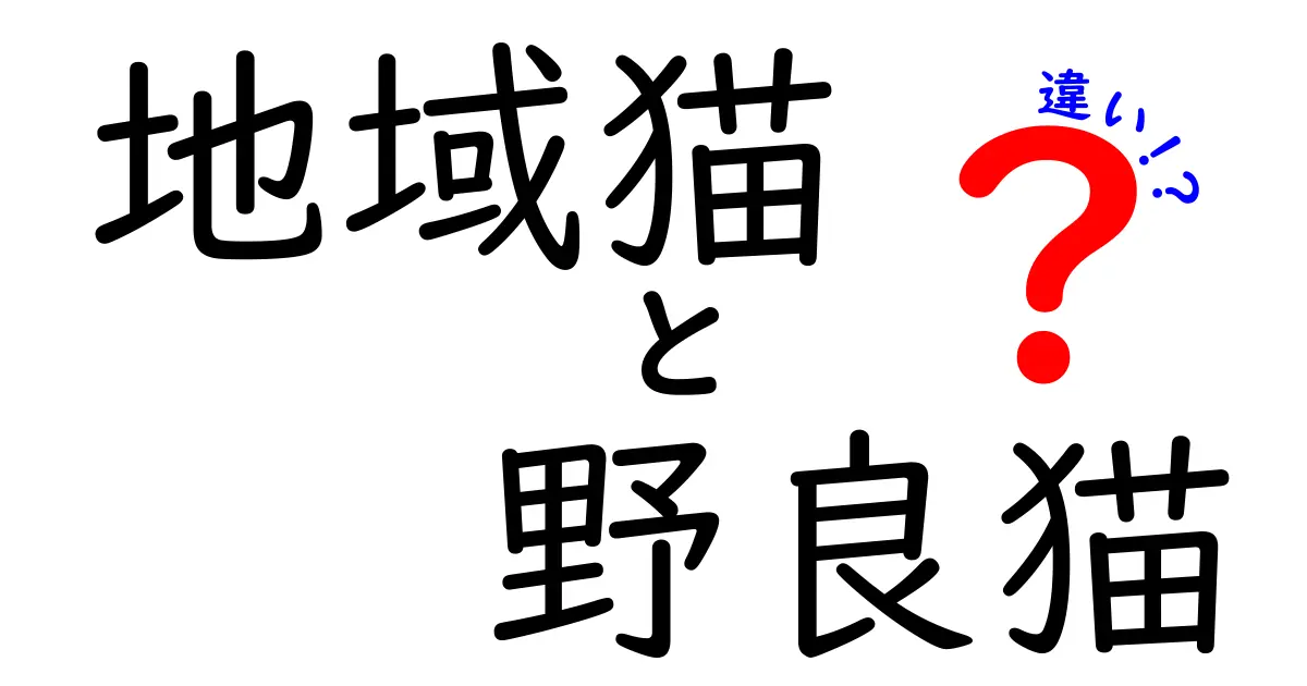 地域猫と野良猫の違いを詳しく解説 いまさら聞けない見分け方と対応のポイント