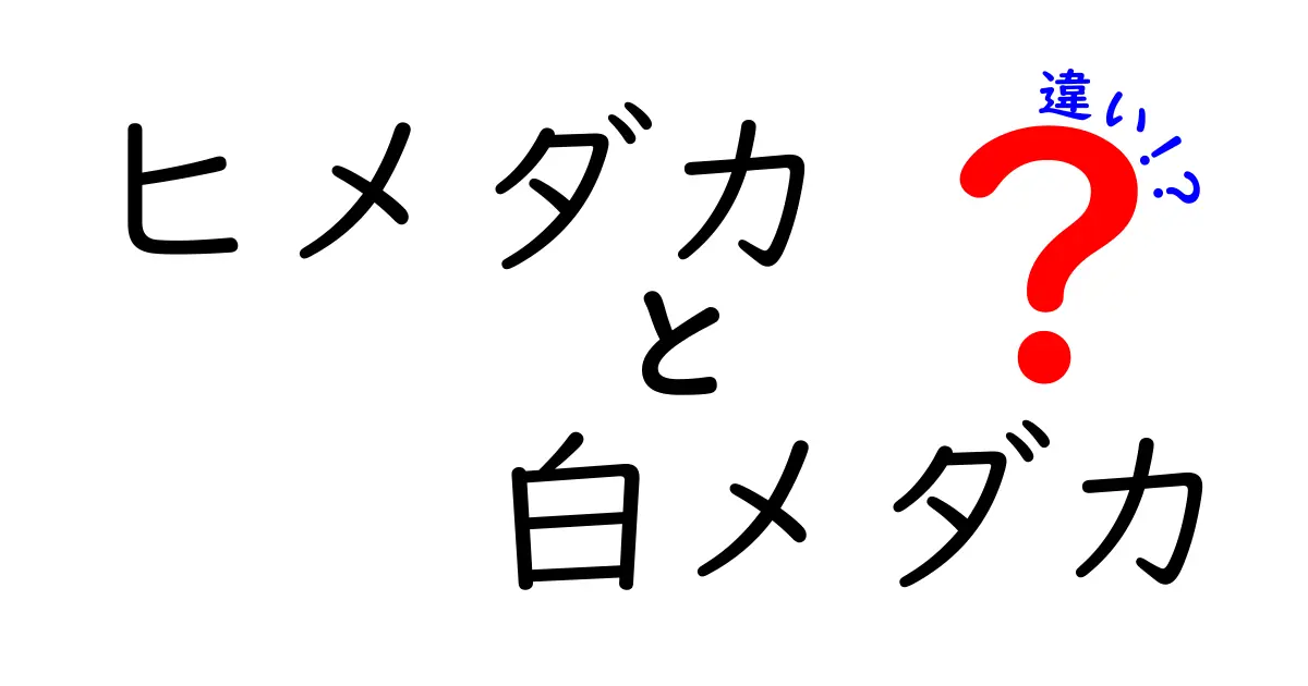 ヒメダカと白メダカの違いとは？見た目・飼い方・繁殖まで徹底解説