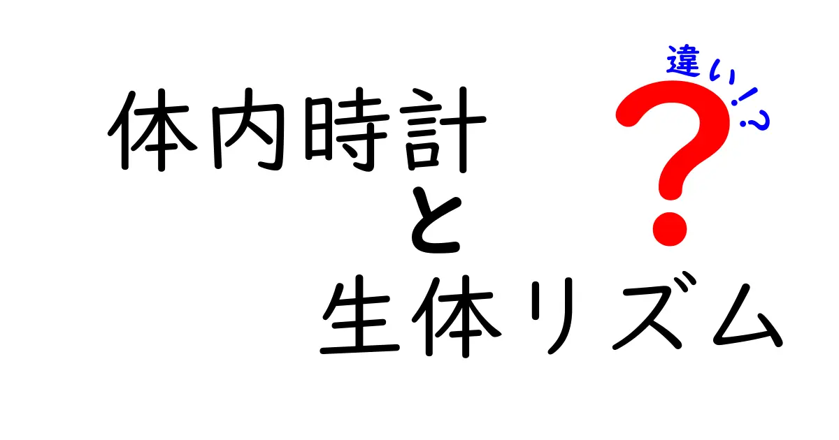 体内時計と生体リズムの違いを知ろう！睡眠と健康を左右する秘密を解説