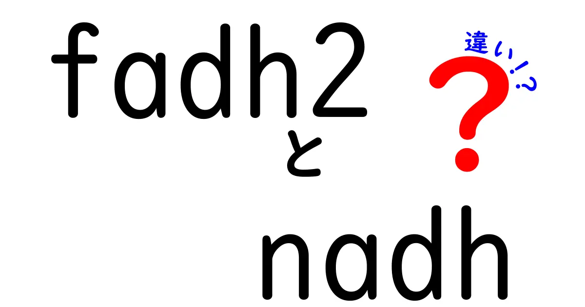 FADH2とNADHの違いを徹底解説!体内の電子伝達を中学生にもわかる言葉で