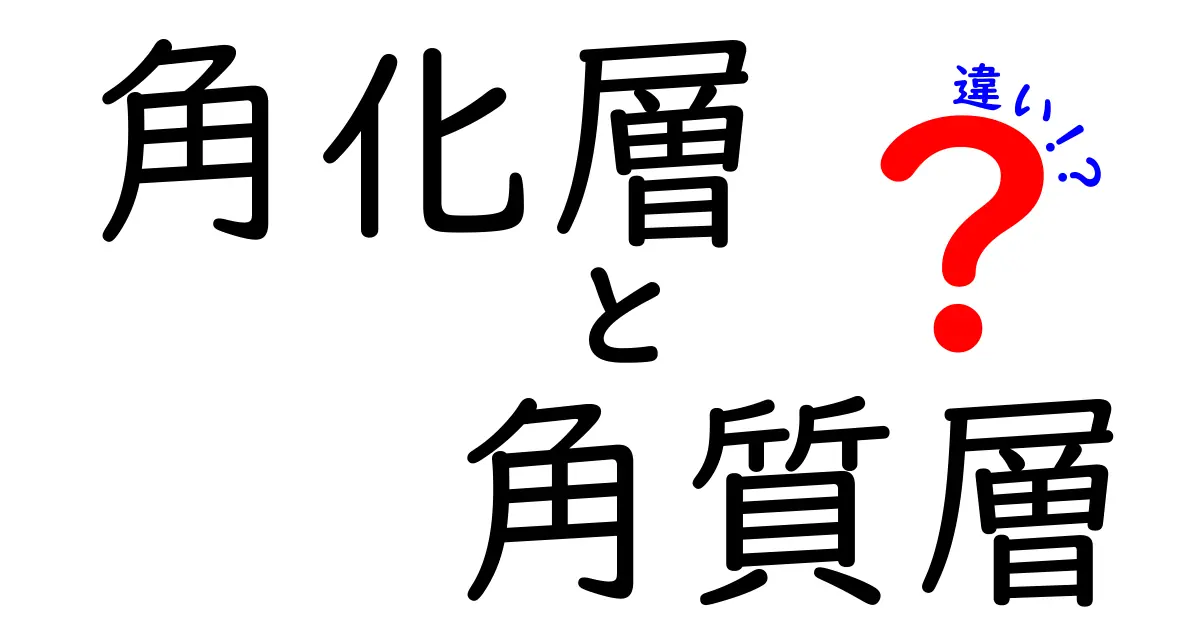 角化層と角質層の違いを徹底解説!肌の基礎を正しく理解するための入門ガイド